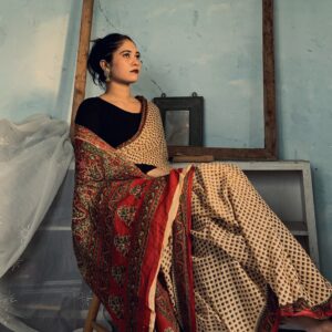 Saree - Printed Brown